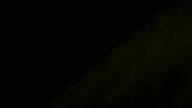 crassanova élő XXX-chatje