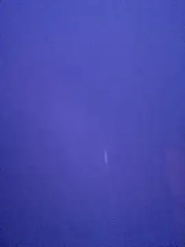 Вебкам-шоу blackhemmar