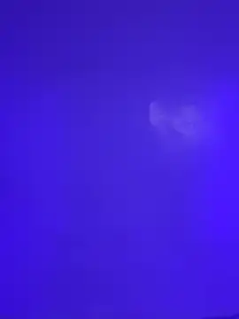 HollyPeach: απευθείας συνομιλία ΧΧΧ