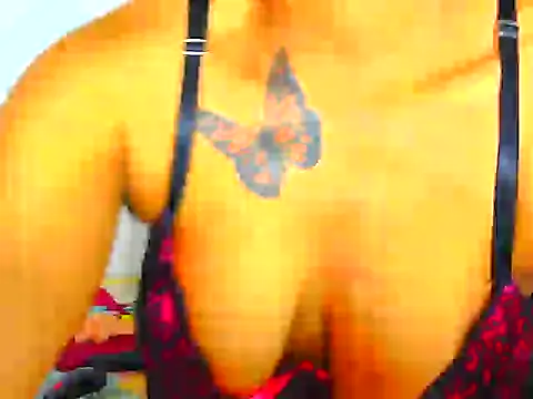 White_Ferrari élő XXX-chatje