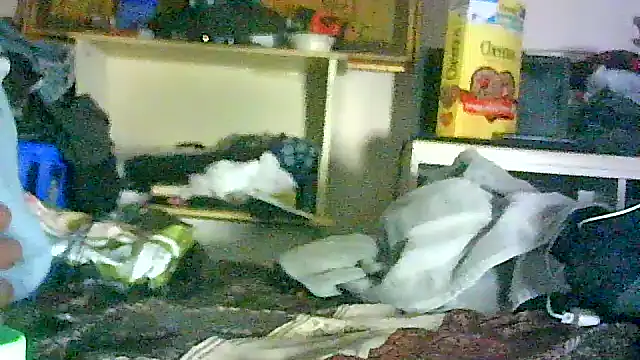 GUAPAN3S3_FIR3: διαδικτυακό σόου στην κάμερα