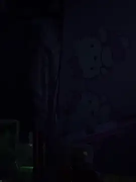 JesuAdamn Webbikameraesitys