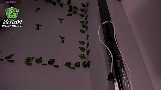 klariz09 webkamerás műsora