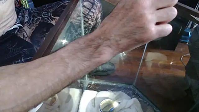 Chat +18 de EspanolVato ao vivo