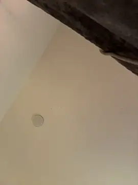 KallyMyller1 Chat XXX live