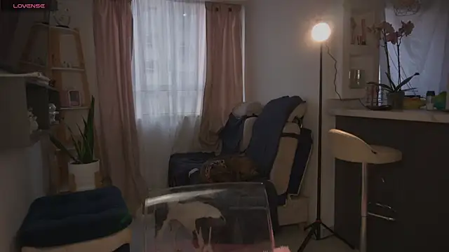 Chat XXX Live valeria_rosses