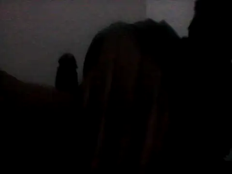 دردشة bogbosdick الجنسية المباشرة