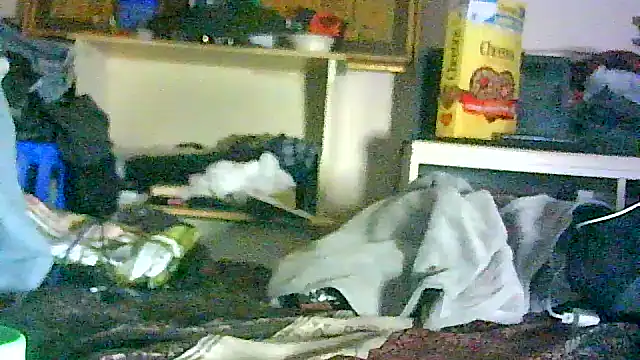 GUAPAN3S3_FIR3 লাইভ XXX চ্যাট