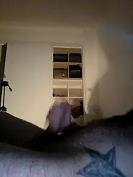 Pertunjukan Kamera Web djteub666