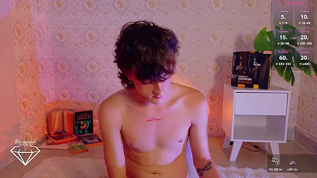 Show webcam de Diamondpierce