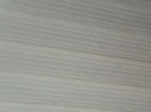 tainted95's Webcam Show