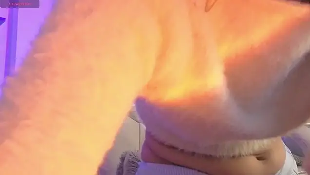 Miniadelf Obrolan Langsung XXX