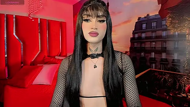 Lexxy_Matteln Webbikameraesitys