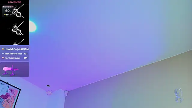 Valentiinossのウェブカメラショー