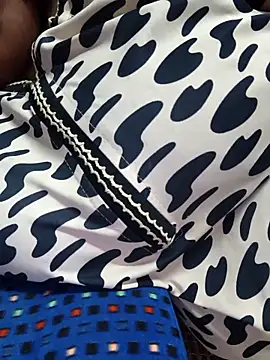 Show Webcam de nilakutty