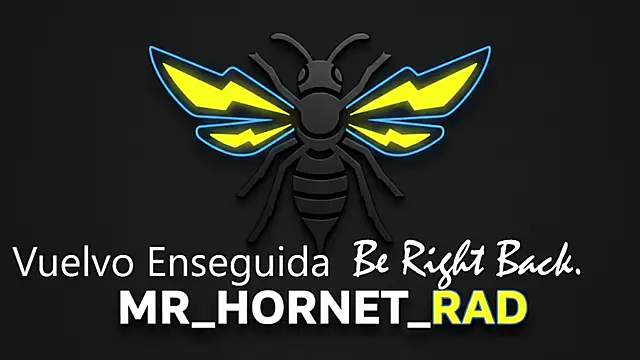 Mr_Hornet_Radのウェブカメラショー