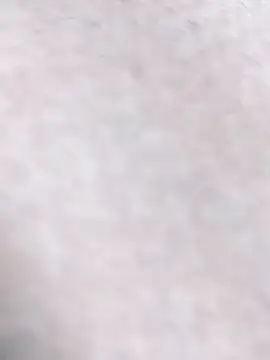 Bangladeshi_bigのウェブカメラショー