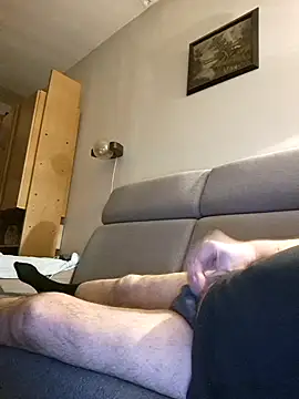 petvarad 在線直播表演