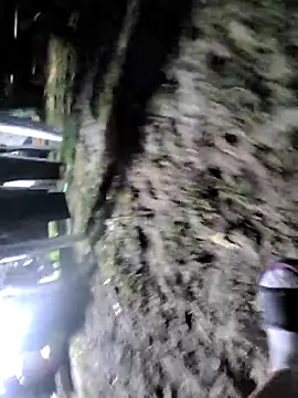 SexyNikki6969 现场XXX聊天