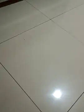 Show de webcam de roludao_fun