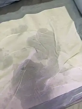 SLO-001のウェブカメラショー