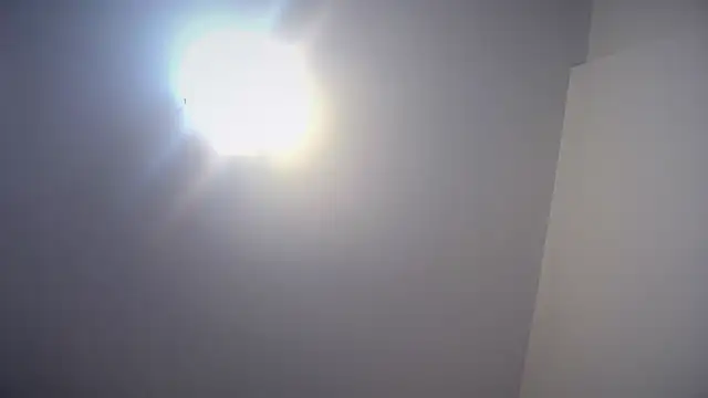 kotkite – Kamerová šou