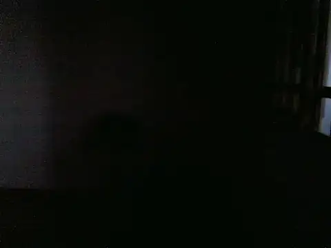 CowboyArt3 – webcam-show