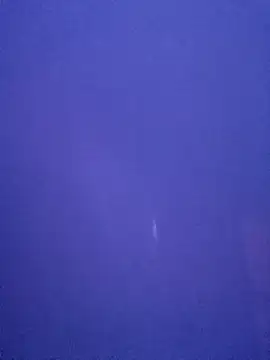 blackhemmar Webcam-Show