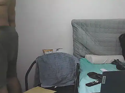 IronSideBearのウェブカメラショー