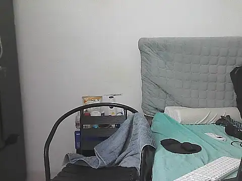 โชว์เว็ บแคมของ IronSideBear