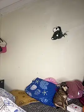 Czat XXX na żywo – Amelia_Rivas