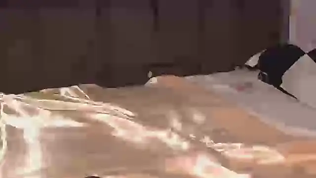 Dic_star – webcam-show