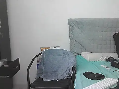 IronSideBear webcam show