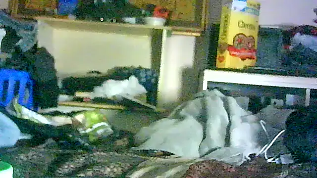 Chatroom XXX en direct de GUAPAN3S3_FIR3