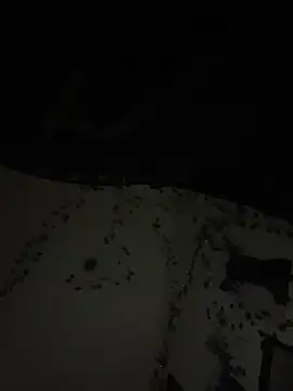 Вебкам-шоу lazoe69