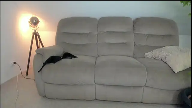 miss_ally Live XXX-Chat