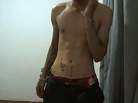 CowboyArt3n Webbikameraesitys