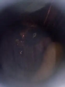 jeremiabello's Live XXX Chat