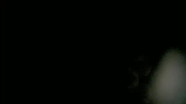 Chatroom XXX en direct de Larry_craft