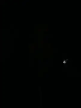 Chat XXX Live ariella_11