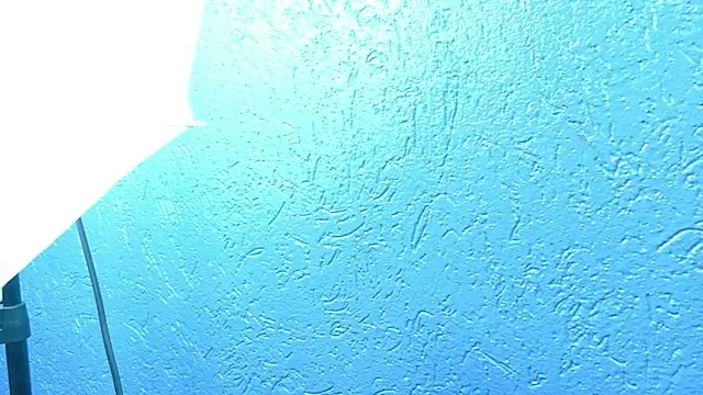 AlecciaNova Obrolan Langsung XXX