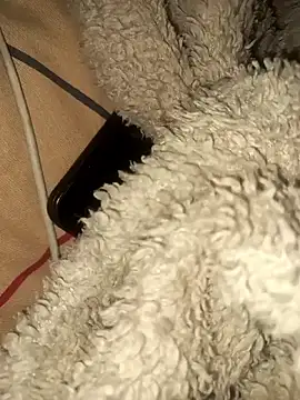 Czat XXX na żywo – Mosha203