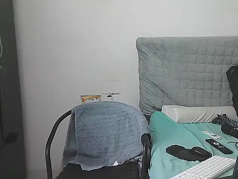 IronSideBear Pertunjukan Webcam