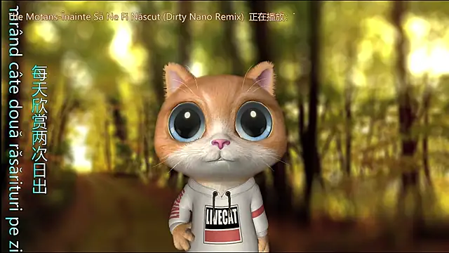 Angelya-888n Webbikameraesitys