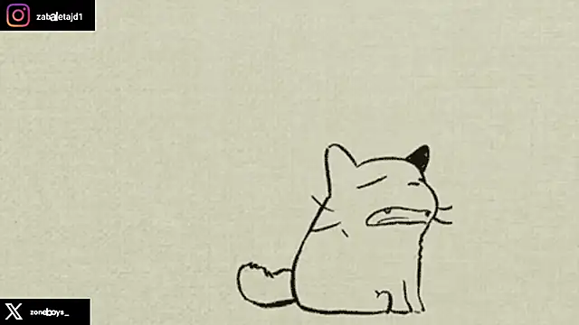 Pokazy przed kamerką – zoneboys