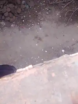 Show de haryanaboypanipat12 na webcam