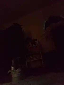 DevinToore Pertunjukan Webcam