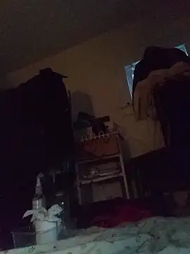 Show Webcam de DevinToore