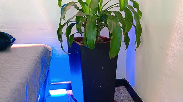 Mandy_boobs99: онлайн-секс-чат