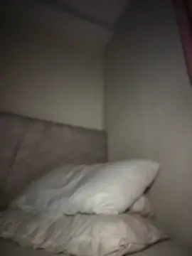 MissCat_ Show in webcam